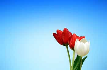 DDOS压力测试网页端