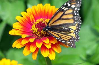 威力持久耐用的网站攻击测试