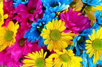 闲鱼卡密便宜的网站攻击测试