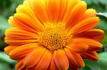 故障诊断的免费ddos防火墙